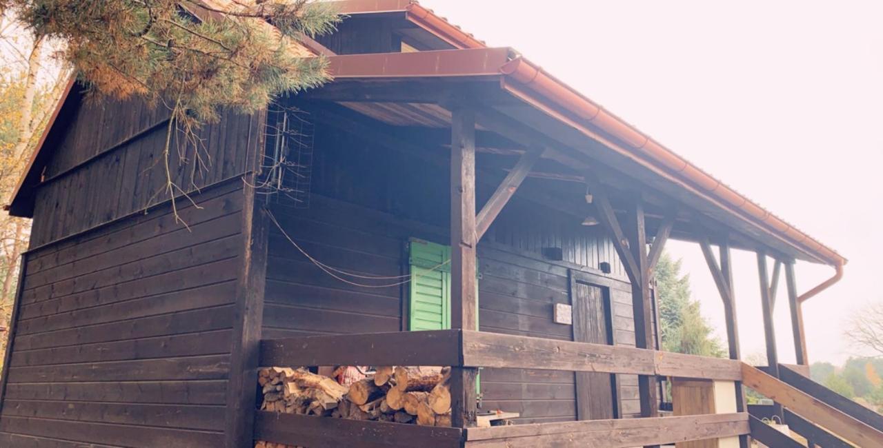 Villa Dom Pod Sosnami Rzewnie Exterior foto