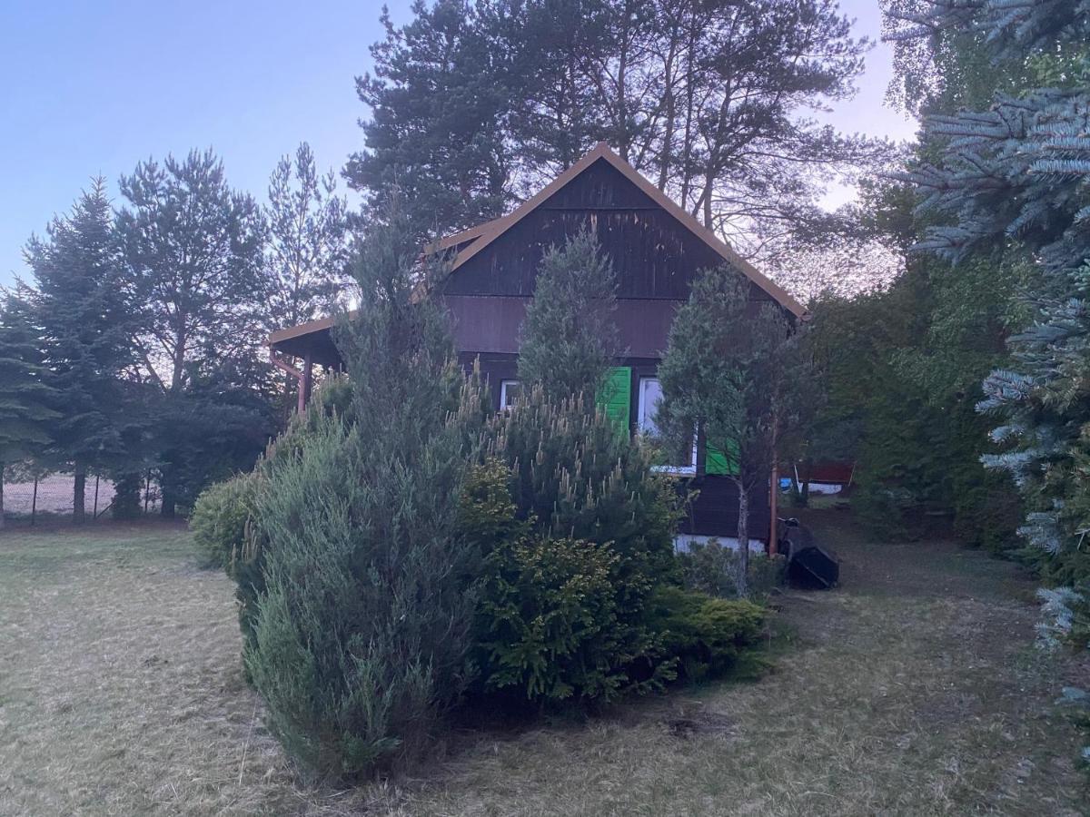 Villa Dom Pod Sosnami Rzewnie Exterior foto